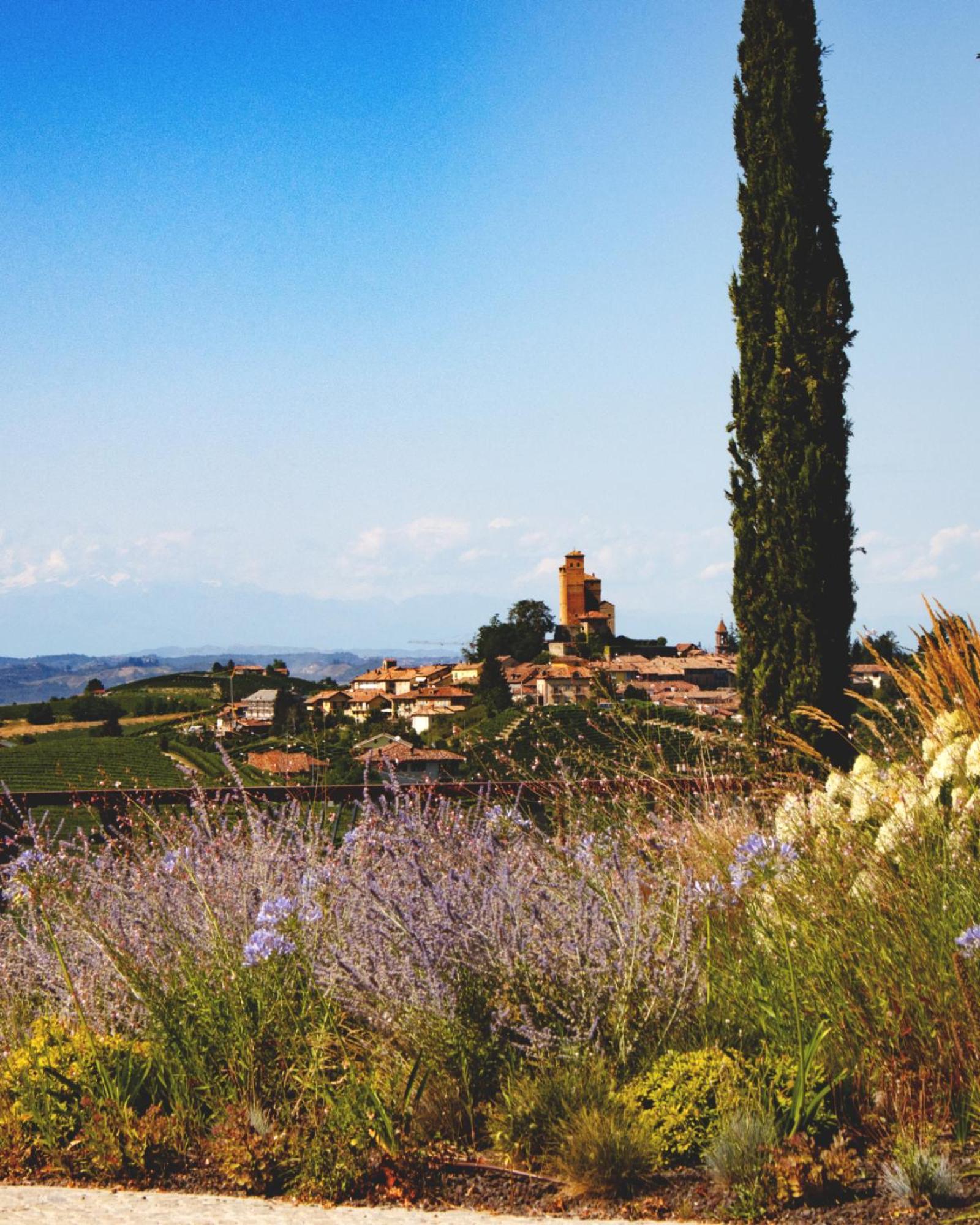 Il Boscareto Resort&Spa Serralunga d'Alba Esterno foto